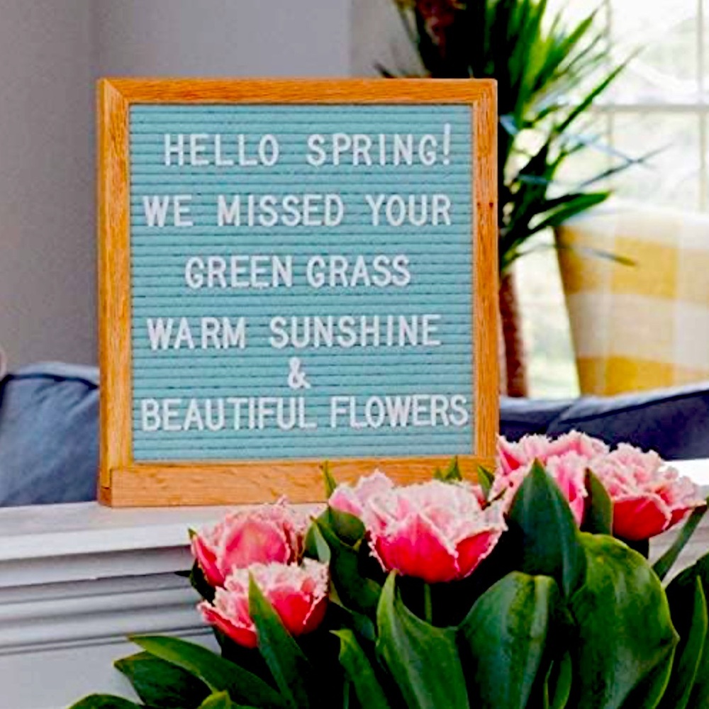Felt Letter Board 10x10 Seafoam Green - Picture 2 of 3